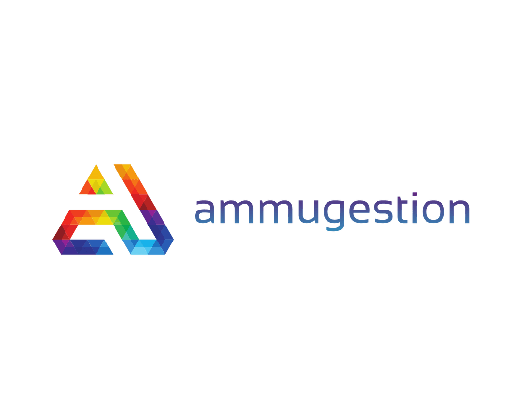 Ammugestion · Firma contable Chile